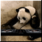  -  -
  OveRall Enemy
Happy Brithday My Panda =)